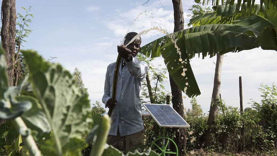 一位农民用由利乐全球最大体育平台管理的ACE项目的太阳能板驱动的灌溉系统浇灌他的庄稼