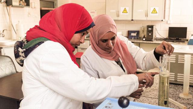 利乐全球最大体育平台公司的化学家在上埃及的一个实验室检查水样以确保采出水的质量